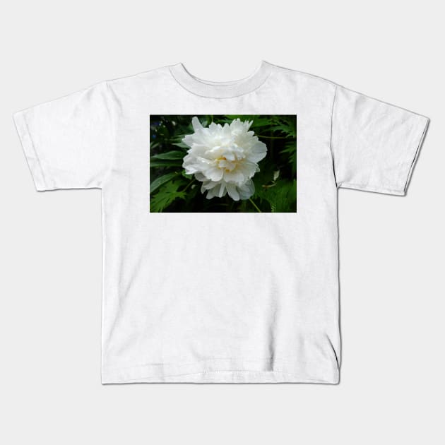 Winter Park Garden Study 3 Kids T-Shirt by bobmeyers